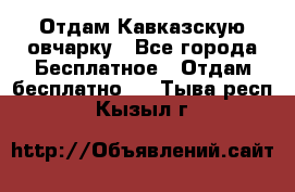 Отдам Кавказскую овчарку - Все города Бесплатное » Отдам бесплатно   . Тыва респ.,Кызыл г.